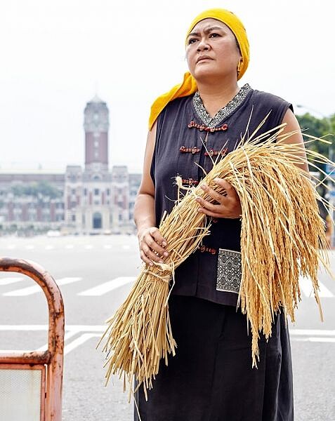 巴奈 Panai 在阿美族語是稻穗的意思